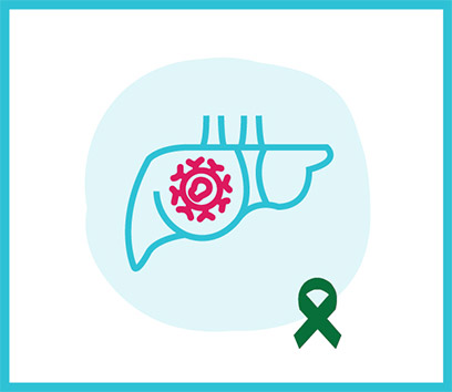 Liver Cancer