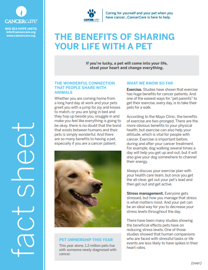 The Benefits of Sharing Your Life With a Pet