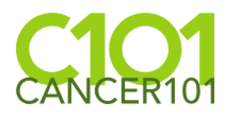 Caring for Your Pets