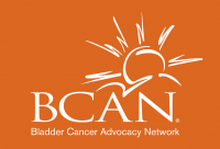 Understanding Bladder Cancer and Nutrition