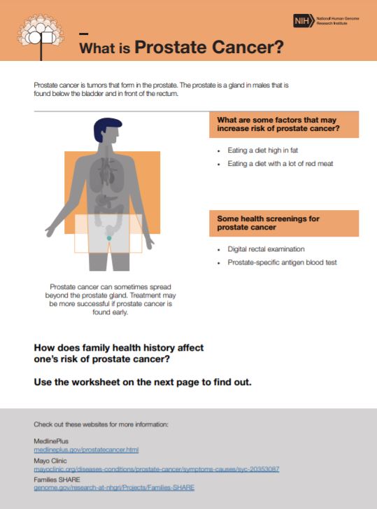 What is Prostate Cancer?